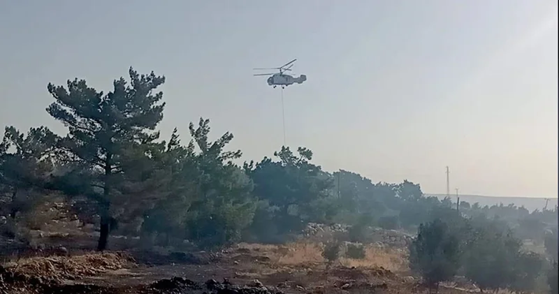 Mersin in Silifke ilçesinde çıkan orman yangınına müdahale ediliyor