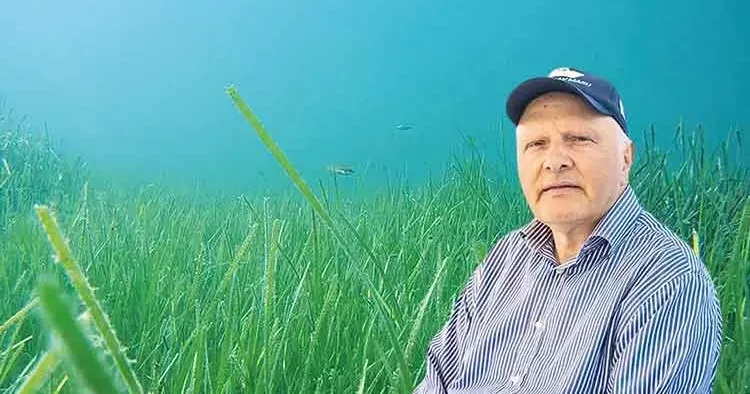 Müsilajda sevindiren açıklama: Denizler nefes aldı