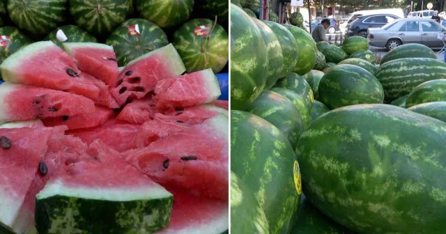 Karpuzun yıkanmadan kesilmesi salmonella riskini artırıyor: Kesik ve çatlaktan bakteriler sızıyor Aktüel Haberleri