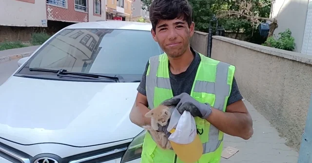 Temizlik görevlisi, otomobilin motor bölümüne sıkışan kediyi kurtardı Muş Haberleri