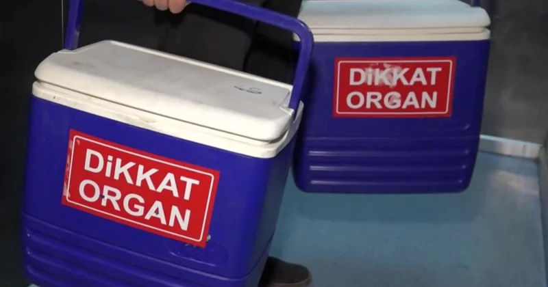 Organ bağışı e Devlet ve e Nabız dan yapılabilecek