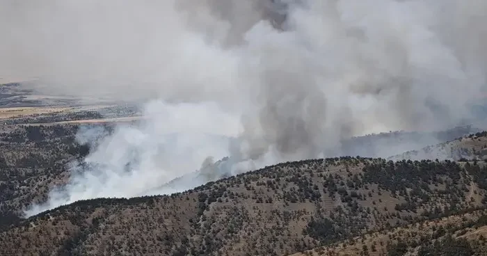 Ankara da korkutan yangın: ODTÜ ormanı ve Eymir gölü civarında alarm!