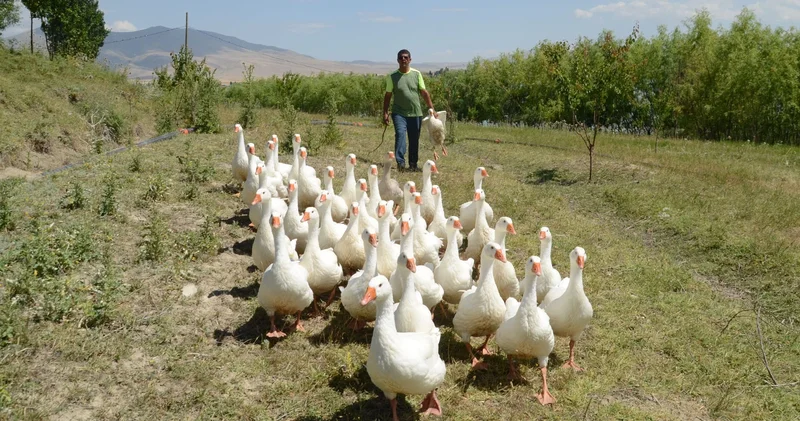 Kanseri yendi, atıl araziyi cennet bahçesine çevirdi