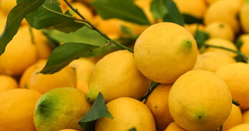 Limonun tanesi 25 lira oldu!