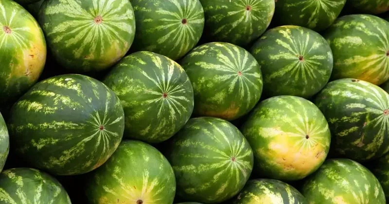 Karpuzdaki büyük tehlike: Bunu yapmadan sakın yemeyin