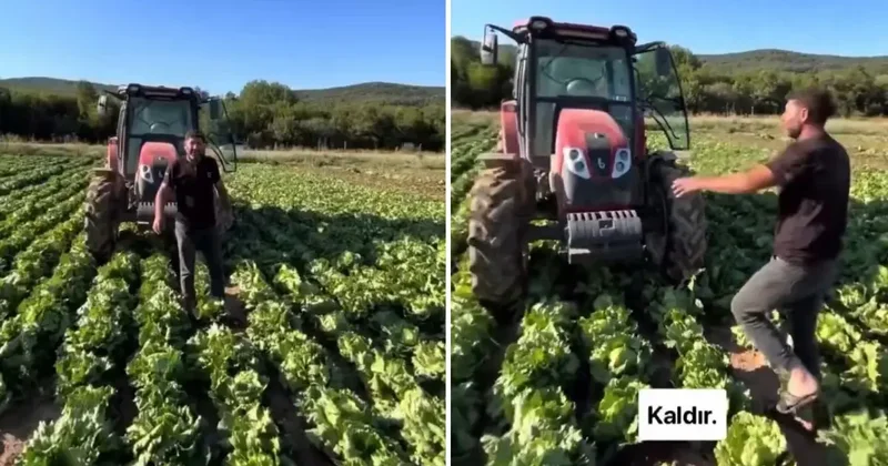 Tarlasındaki ürüne teklif edilen fiyat üreticiyi isyan ettirdi: Markette 30 TL ye satıyorlar