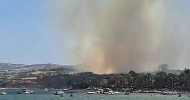 Çanakkale de tarım arazisinde yangın