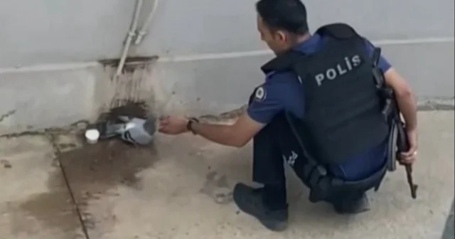 Sıcaktan bunalan güvercine polisten yardım eli VİDEO İZLE