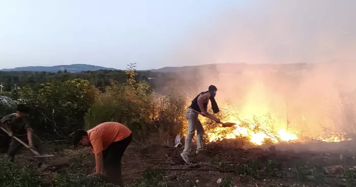 Balıkesir de yangın! Çiftlik sahibine gözaltı