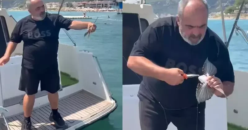 Saros ta nadir görülen kırlangıç balığı oltaya takıldı