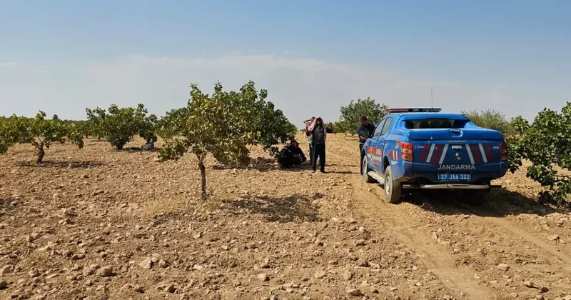 48 yaşındaki işçinin acı sonu: Antep fıstığı hasadı yapıyordu!