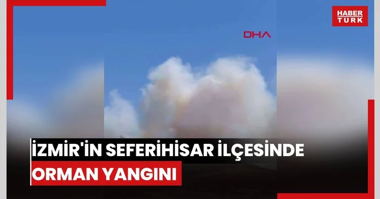 İzmir in Seferihisar ilçesinde orman yangını