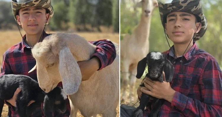 Çantasına koyup köyüne götürmüştü! Küçük çobandan çağrı: Gelin birlikte büyütelim