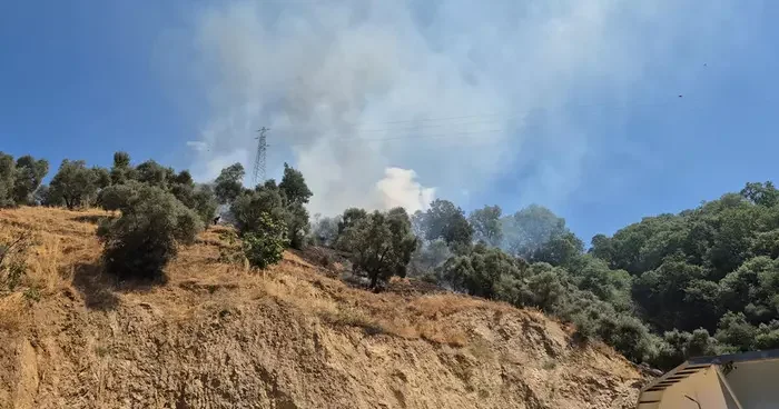 Aydın da zeytinlikte çıkan yangın 1,5 saatte kontrol altına alındı