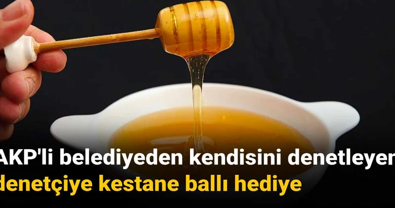 AKP li belediyeden kendisini denetleyen denetçiye kestane ballı hediye