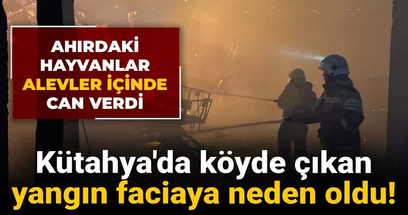 Kütahya da köyde çıkan yangın faciaya neden oldu! Ahırdaki hayvanlar alevler içinde can verdi