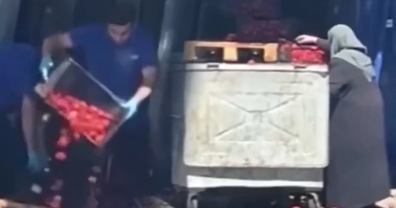 İşte Türkiye bu hale geldi! Onlar çöpe döktü yaşlı kadın çürük domatesleri topladı