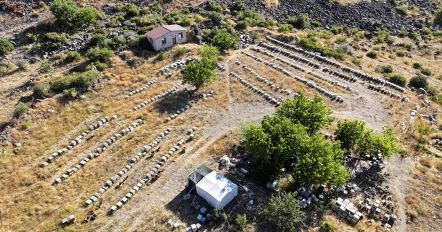 Mobilya işini bırakıp arıcılığa başladı, 25 yılda 400 kovana ulaştı Kayseri Haberleri