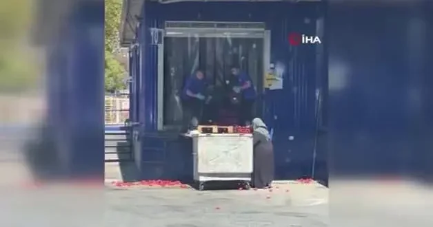 Zincir markette kasalar dolusu domatesi çöpe döktüler! O anlar tepki çekti
