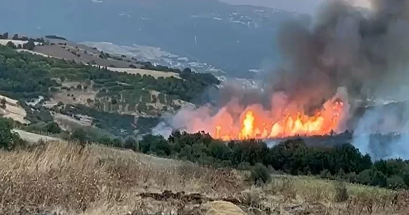 Susurluk yangını kontrol altında