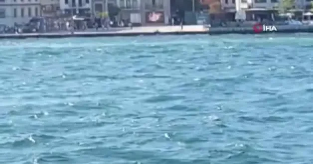 Boğulmak üzereyken vapurdakiler tarafından kurtarıldı!