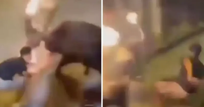 Alev saçan boğa, festival alanında bir seyirciyi ağır yaraladı