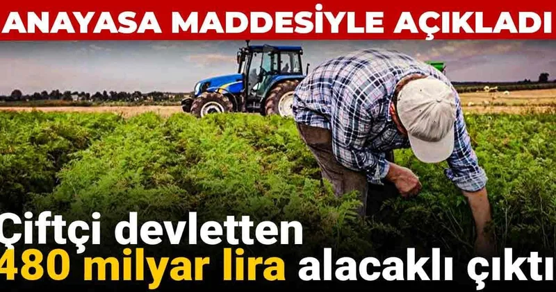 Çiftçi devletten 480 milyar lira alacaklı çıktı: Anayasa maddesiyle açıkladı