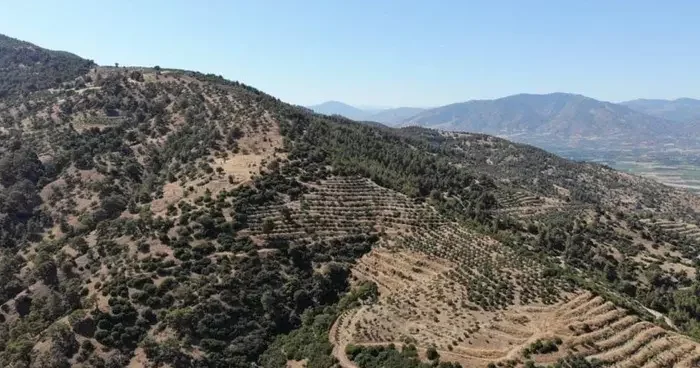 Karacasu Kaymakamlığı orman yangını riskine dikkat çekti