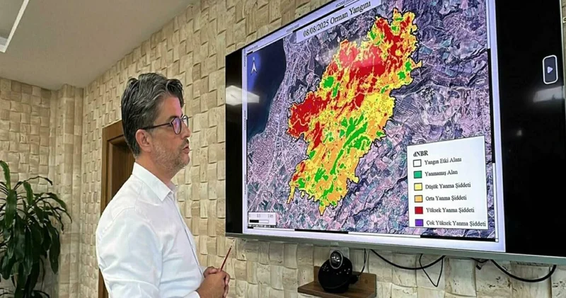 Çanakkale deki yangınların zararı uydu fotoğraflarında