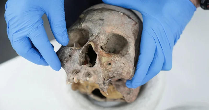 Bilim insanları yeni bir insan türü keşfetti