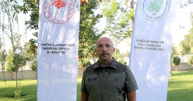 Malazgirt Meydan Muharebesi Tarihi Milli Parkı nda hedef 400 bin ziyaretçiye ulaşmak Muş Haberleri