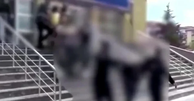 Niğde de kasten yaralama suçundan yakalanan 6 şüpheli tutuklandı VİDEO İZLE