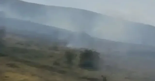Bolu’da kırsal alanda çıkan ormana sıçramadan söndürüldü VİDEO İZLE