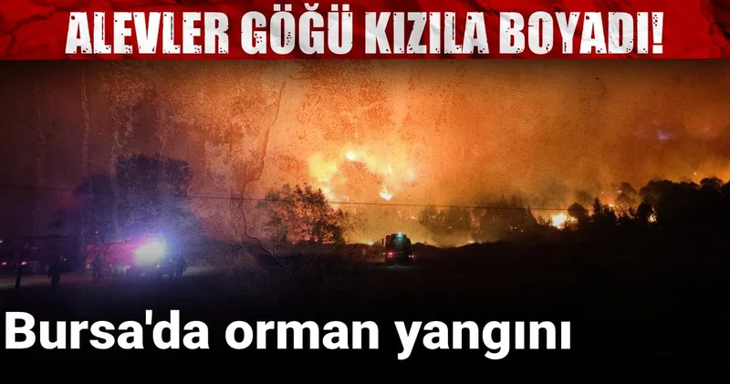 Bursa da korkutan yangın! Alevler göğü kızıla boyadı