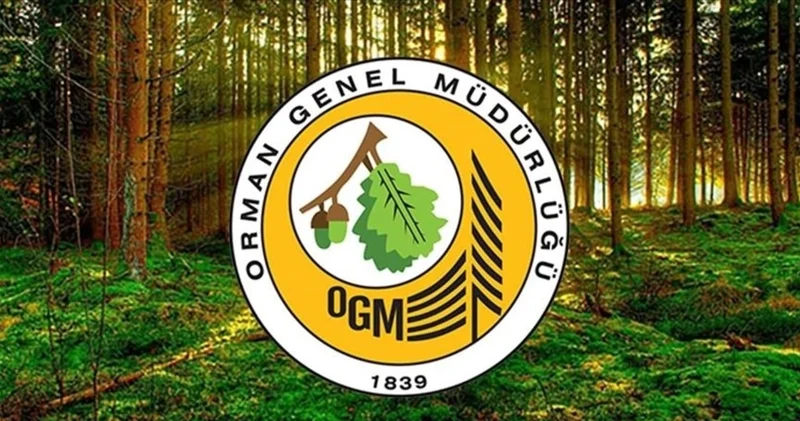 Orman Genel Müdürlüğü 162 engelli işçi 100 eski hükümlü alımı başvuruları ne zaman, noter çekilişi ve sınav tarihi belli mi, şartları neler?