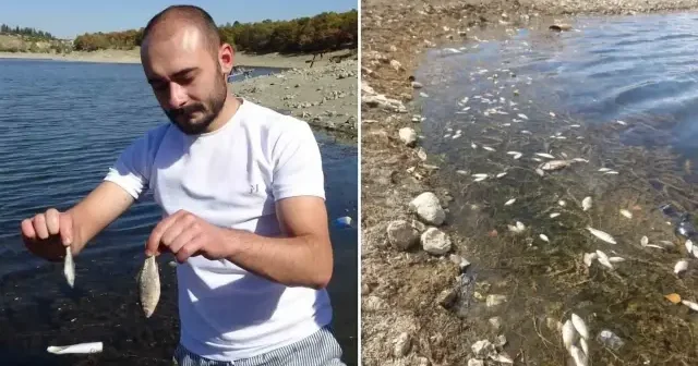 Kütahya’da toplu balık ölümleri tedirgin etti Gündem Haberleri