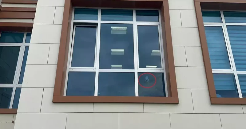 Yalova Adliyesi nde Cinayet: Tanık Öldürüldü