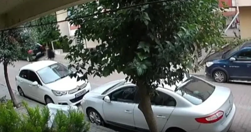 Abisini iki yıl önce zıpkınla yaralayan kardeş bu defa kurşunladı