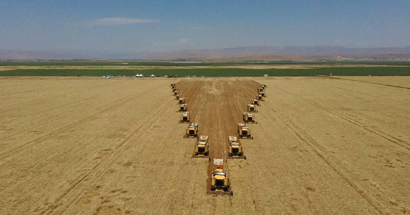 Çiftçilere bugün 47,6 milyon liralık tarımsal destekleme ödemesi yapılacak
