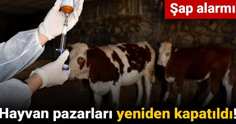Şap alarmı! Hayvan pazarları yeniden kapatıldı!
