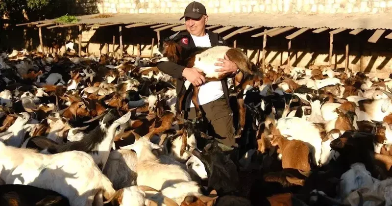 Gönüllü Vesileler Derneği, Afrika da ailelere 2 binden fazla süt keçisi dağıttı