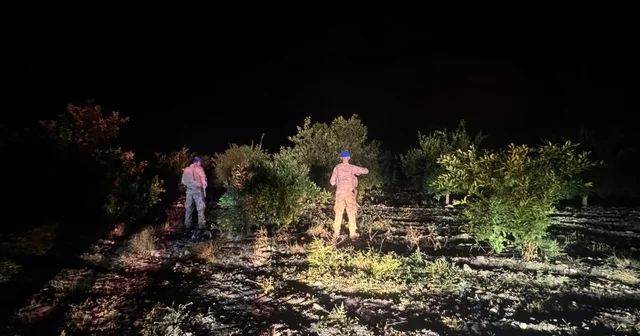 Hatay da narenciye bahçelerinde hırsızlığa karşı komandolu önlem Hatay Haberleri