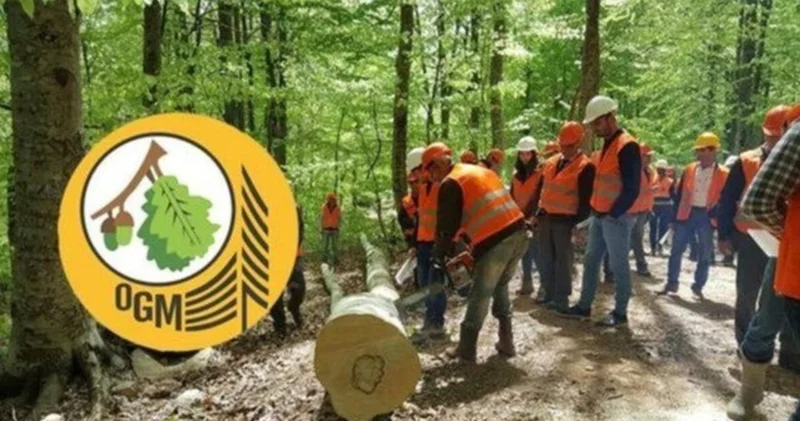 OGM 3 bin 477 personel alımı sonuçları ne zaman açıklanacak? OGM 3 bin 477 personel alımı sonuçları nasıl öğrenilir?