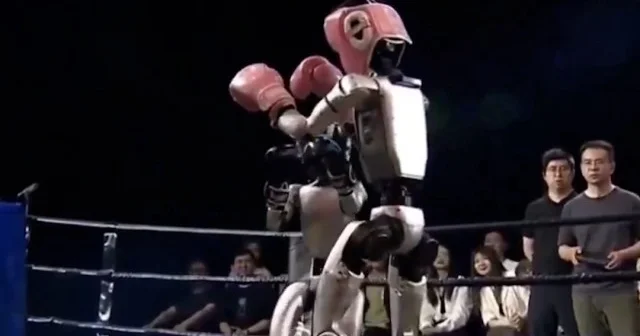 Dünyada ilk kez robotlar arasında boks turnuvası düzenlendi: Ortaya bu görüntüler çıktı VİDEO İZLE