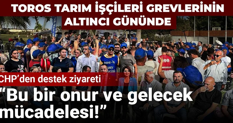 Toros Tarım işçileri grevlerinin altıncı gününde: Bu bir onur ve gelecek mücadelesi