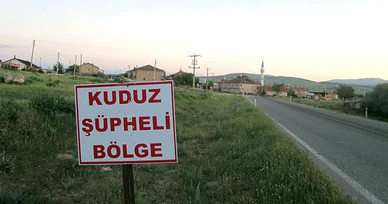 Hatay ın 4 mahallesinde kuduz alarmı
