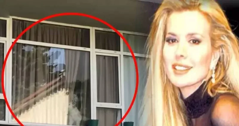 Perdesi kapalı kapısı kilitli! Harika Avcı ya ne olduğu ortaya çıktı