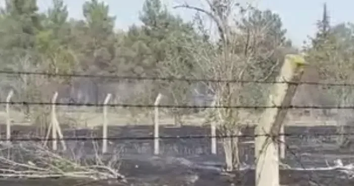 Atatürk Barajında yangın korkuttu