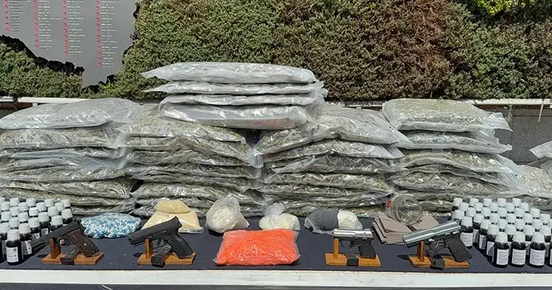 İstanbul da düzenlenen narkotik operasyonunda 254 kişi tutuklandı