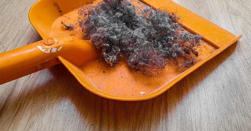 Pestisitler sadece meyve ve sebzede yokmuş! Yeni araştırma korkuttu Sözcü Gazetesi